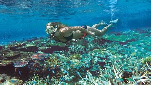 海安科技强医彰显民生温度